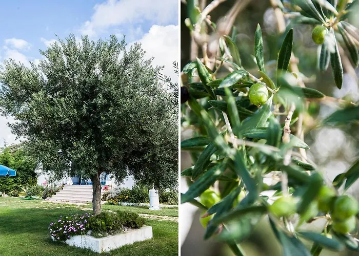 Casamediterranea Ξενοδοχείο