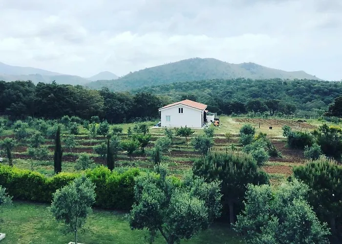 Casamediterranea Sperlonga