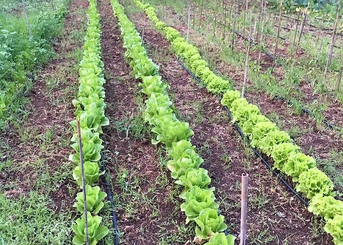 Casamediterranea Hotel